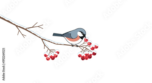 Adorable small bird with grey and orange plumage perched on a snow-dusted branch, pecking at bright red berries, capturing a serene winter moment.