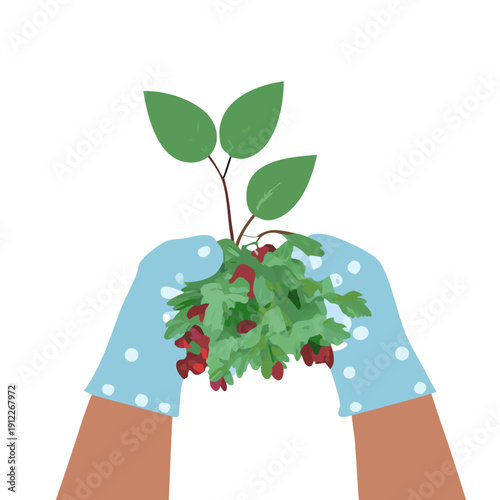 Flat vector hands gardening , hands planting seedling on the white background