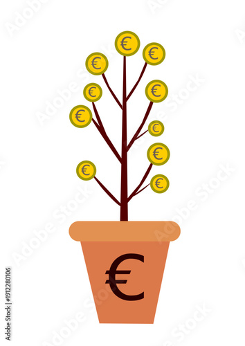 money tree in pot, euro tree in pot