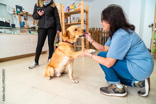 Konstfotografi Woman treating dog at pet shop or veterinary clinic