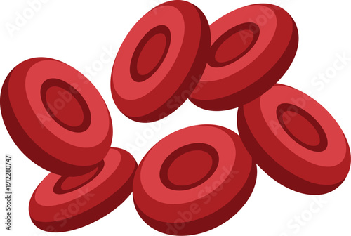 A digital illustration of red blood cells on a white background