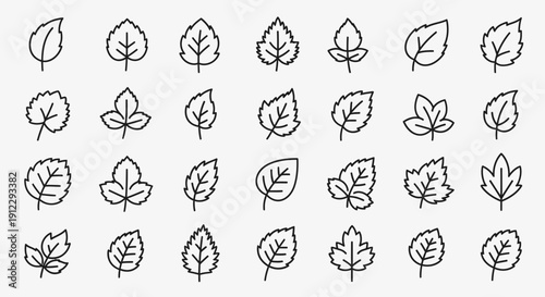 Extensive Collection of Outline Leaf Icons in Grid on Light Gray Background, Diverse Plant Foliage Types