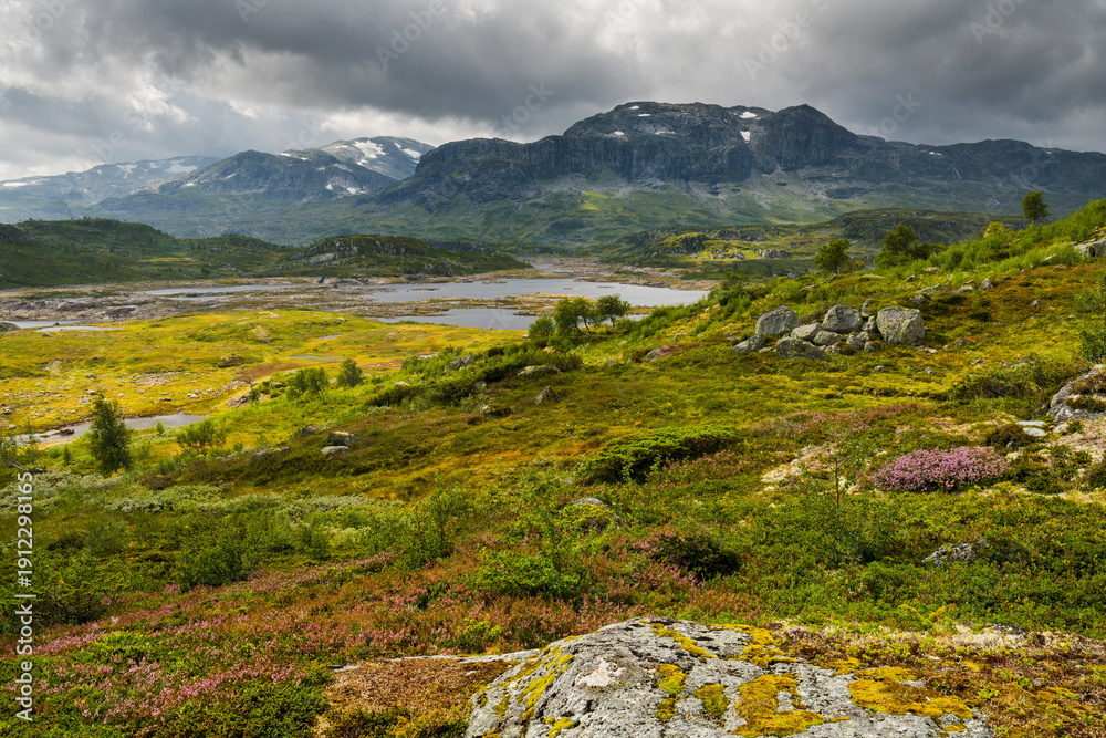 Fototapeta premium Gluggvardnuten, Haukelifjell, Vestland, Norwegen