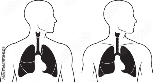 Human lungs anatomy icon set