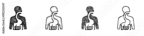 Sketch digestive system icon design set