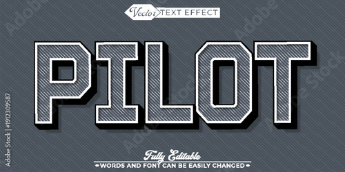 Pilot Aviation Airplane Cockpit Flight Vector Fully Editable Smart Object Text Effect