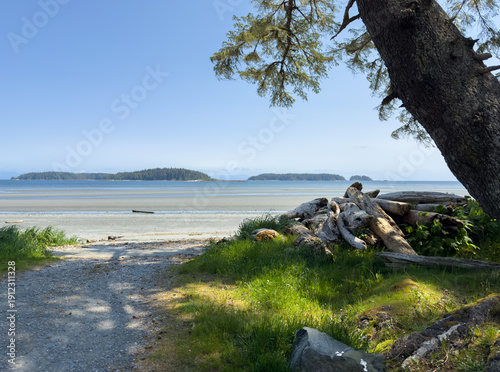 Sunny day at a beach in the Pacific Northwest