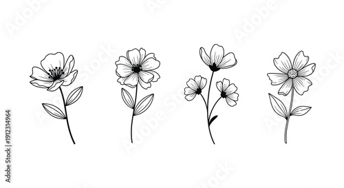 Four unique black and white line art drawings of blooming flowers with stems and leaves are displayed on white.