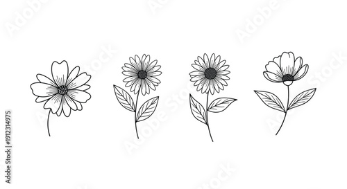 Four different black and white line art illustrations of blooming flowers with stems and leaves are displayed on white.