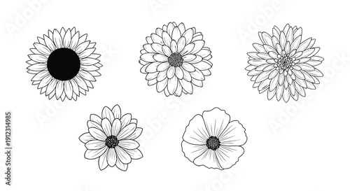 Five distinct black and white outline drawings of various flower heads are arranged in an elegant pattern on a white background.