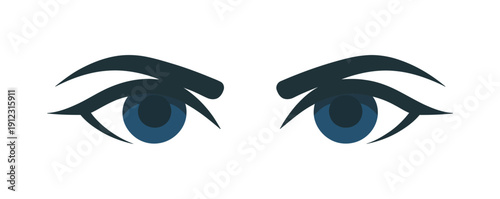 A pair of blue eyes with thick eyebrows on a white background