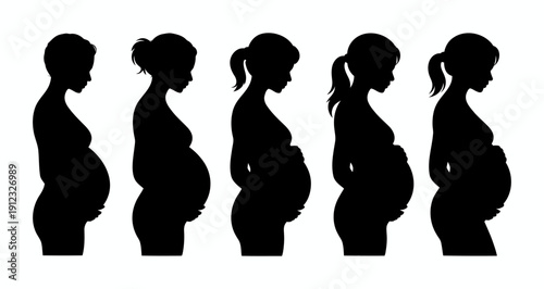Pregnant Woman Silhouette Set.