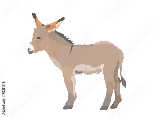 Cute cartoon baby Donkey illustration. Vector hand drawn funny farm animal isolated on white background.
