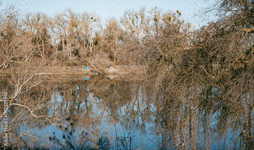 Vászonkép Homeless encampment sit along the wooded banks of the Sacramento River