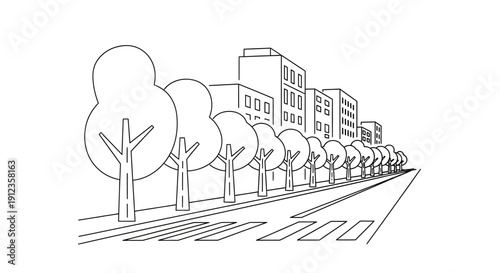 Trees lined up along the road.