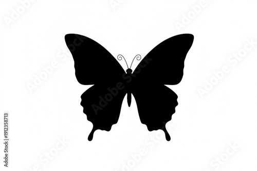 Silhouette of a Butterfly: A striking silhouette of a butterfly showcases its delicate wings and intricate design, a perfect embodiment of nature's elegance.