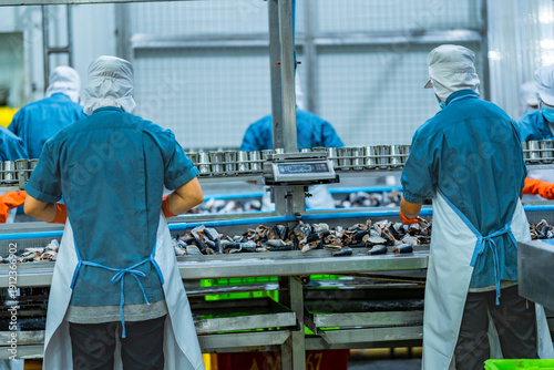 Photography Workers processing fish on an industrial conveyor line in a modern food factory Focus on safety hygiene and efficiency in food manufacturing and packaging operations