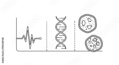 DNA sequence and cell structures.
