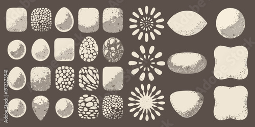 An assortment of variously textured and shaped seeds and grains