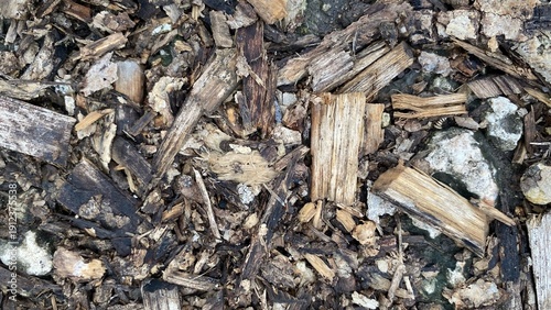 The texture of wood chips and twigs scattered on the ground. Natural details with shades of brown and gray.