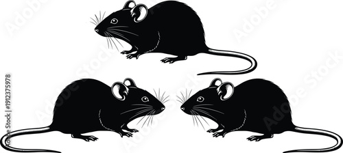 Black and white rat silhouette vector illustration set featuring three mice in various poses for pest control logos laboratory research icons and rodent nature graphics.