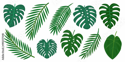 Collection of tropical leaves monstera palm and other green foliage