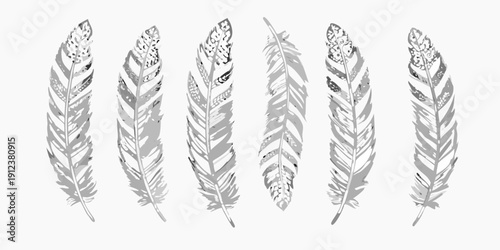 A collection of six detailed grayscale feathers arranged in a row