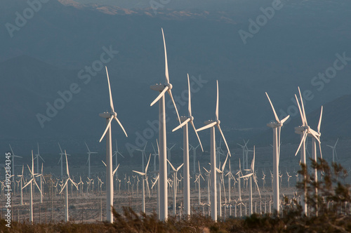 USA, California, Palm Springs.  San Gorgonio Wind Farm.  In the  Coachella Valley it is one of the US's largest wind farms. It contains more than 4000 separate windmills in a 70-square-mile area.