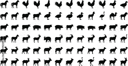 Large collection of black animal silhouettes featuring livestock farm animals poultry and birds isolated on white background for rural and nature design projects.