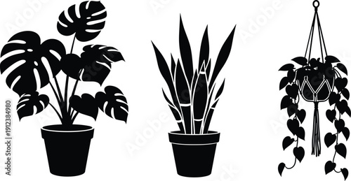 Black and White Silhouette Set of Tropical Houseplants Featuring Potted Monstera Snake Plant and Hanging Vine