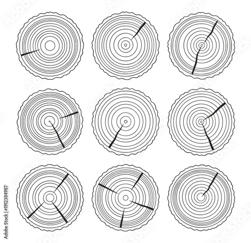 Tree trunk cross section rings set, wood log slice texture vector illustration isolated on transparent background