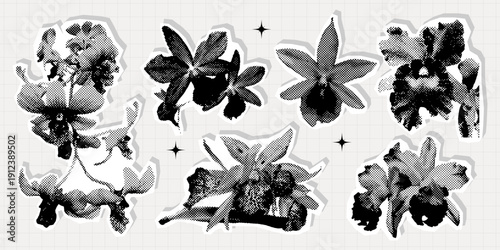Orchid flowers collage set in vintage halftone style. Retro modern botanical elements for posters, branding, packaging, social media. Vector illustration black white colors