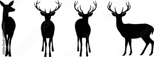 Deer and stag silhouettes collection in various standing poses, antlered wild forest animals isolated on white background, black vector illustration for hunting and wildlife design