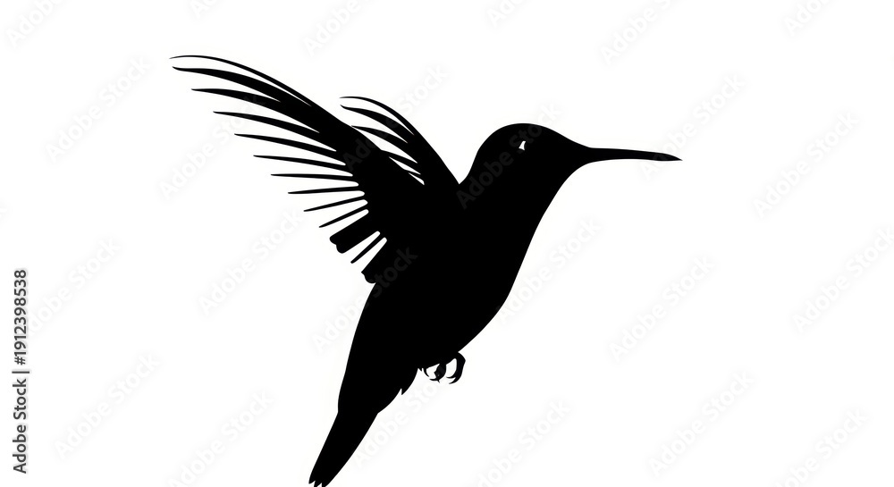 Fototapeta premium Hummingbird Silhouette Flying, Bird in Flight