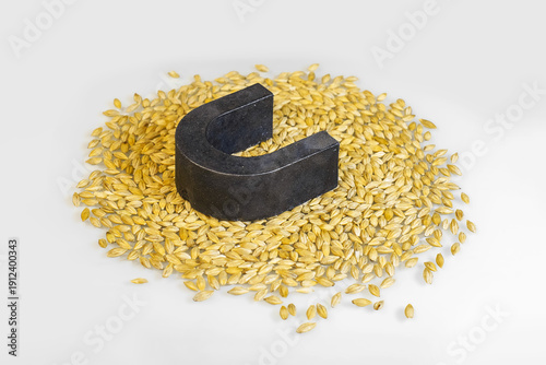Technical analysis of barley grain. Magnet on grain. Determination of metal impurities.