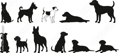 Dog silhouette vector set, black canine poses collection, different dog breeds icons, pet animal illustration isolated on white background, design elements pack