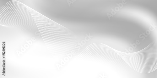 Abstract minimalist white and gray curve modern background. texture white pattern. vector illustration