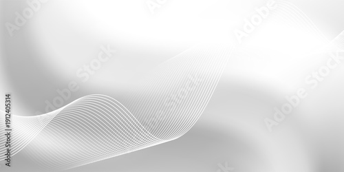 Abstract minimalist white and gray curve modern background. texture white pattern. vector illustration