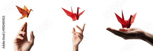 Quadro em tela Set of hands releasing and holding red paper origami cranes isolated on white ba