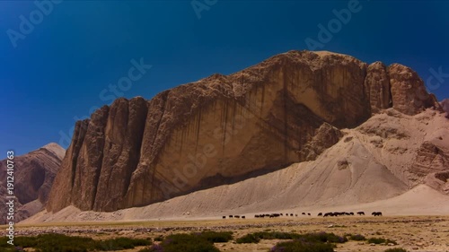A panoramic motion view of wild yaks grazing in a vast arid mountain landscape under a clear blue sky on a sunny day