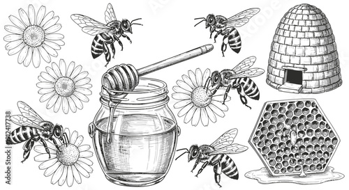 Bee illustration with flowers honey jar and hive in detailed monochrome style