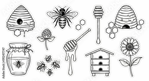 Beehive and honey collection vector illustration apiary honeycomb and bee elements
