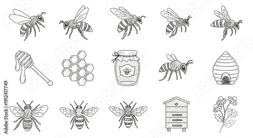 Bee illustrations set showing various aspects of apiculture in black and white
