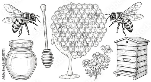 Beehive elements illustration bees honeycomb honey jar and wooden hive