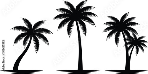 Set of fluffy black cat silhouettes in various poses including walking sitting and standing, vector illustration isolated on white background