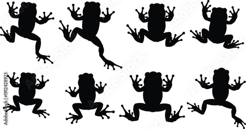Black silhouettes of frogs in various poses arranged in rows, stylized top‑down perspective illustration, perfect for wildlife design, educational, decorative, and artistic projects