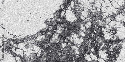 Detailed monochrome abstract texture resembling cracked earth or a fractured surface with dark gray and white granular elements and irregular patterns