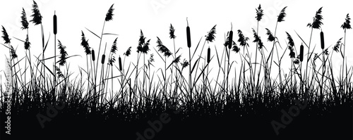 Black silhouette illustration of tall grass and cattails against white background, highlighting wetland vegetation, reeds, and marsh plants for ecological, 