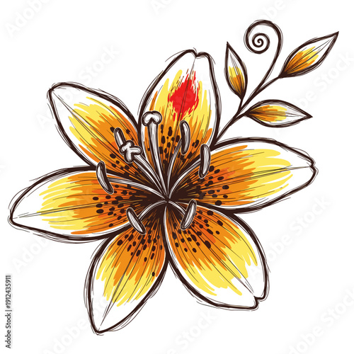 Hand Drawn Lily Flower with Swirling Vine and Speckled Petals in Yellow Orange