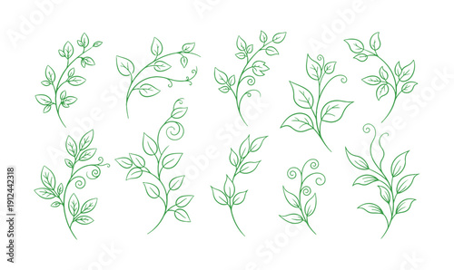 Isolated collection of vines and shoots on a white background. Rendered in line art style. A beautifully stylized plant silhouette ideal for logos, eco designs, organic decorations